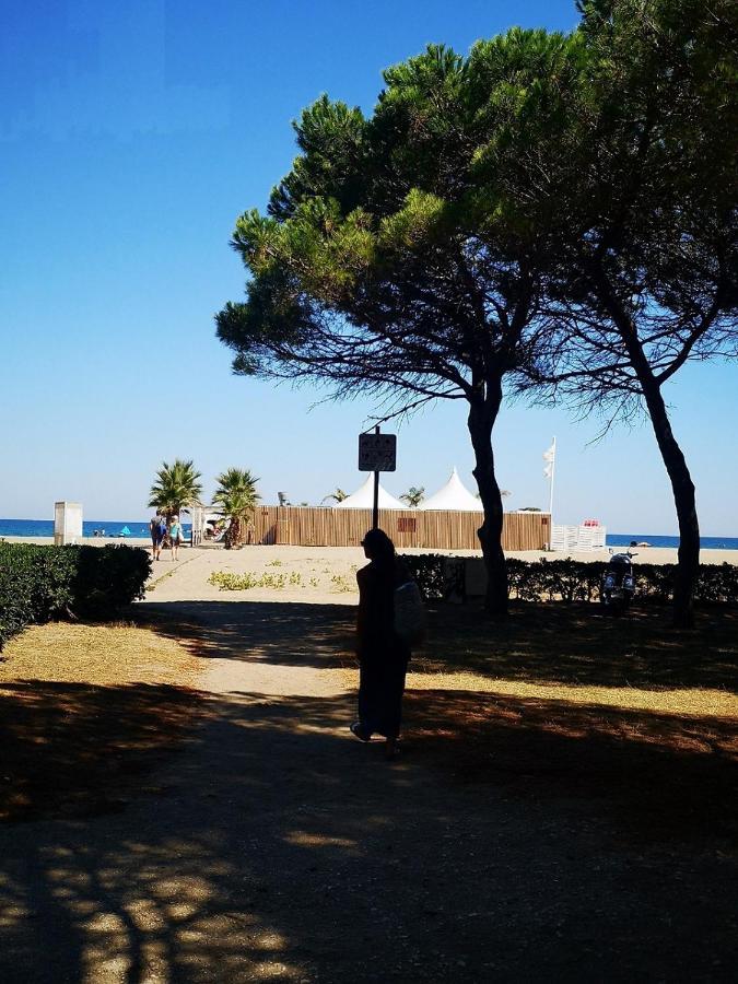 Charmant T2 Terrasse, Bord De Mer Argelès-sur-Mer Εξωτερικό φωτογραφία